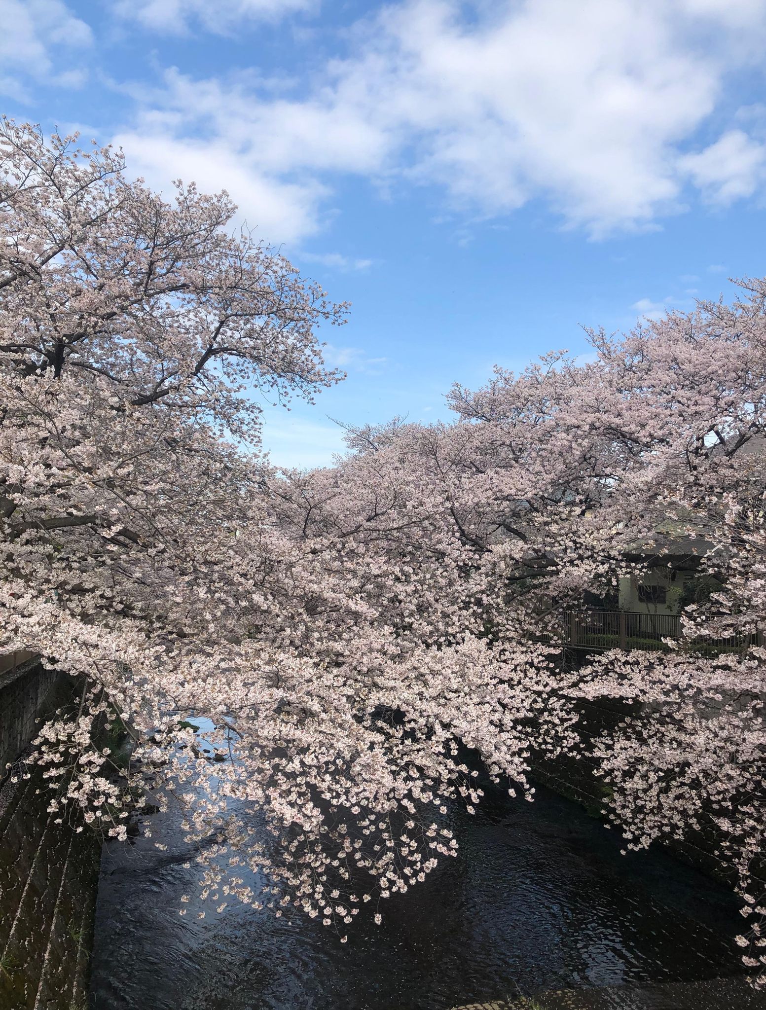 スリーピースのお勧め